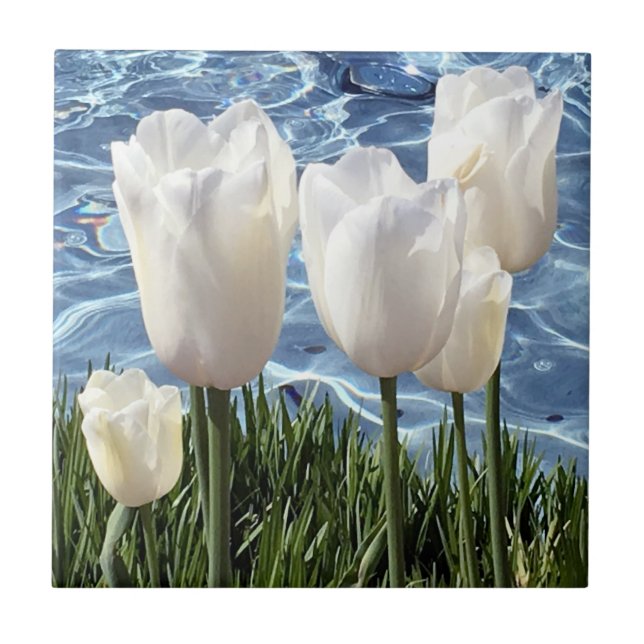 Beautiful White Tulips Ceramic Tile (Front)