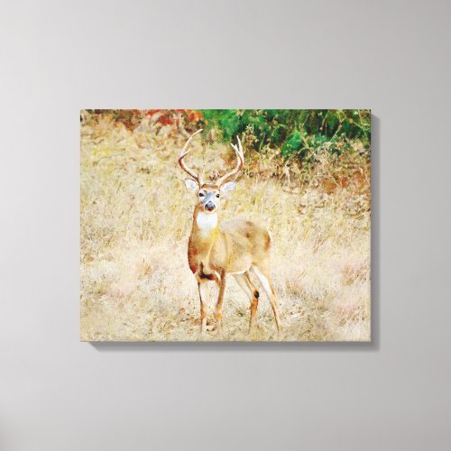 Beautiful Wild Deer Buck Photographic Art Canvas Print