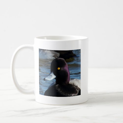 Beautiful Wild Duck _ Lesser Scaup Drake Coffee Mug