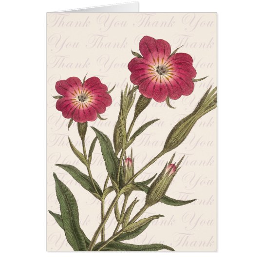 Beautiful Wild Field Flowers Vintage Thank You Card