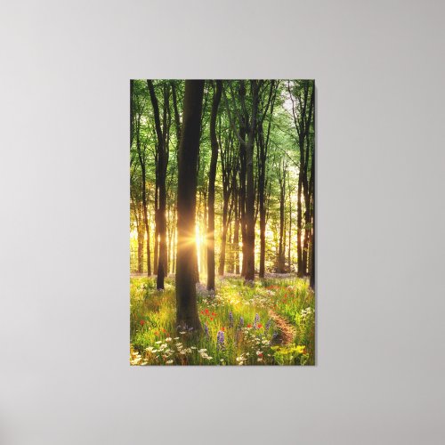 Beautiful wild flower woodland path  sunrise canvas print