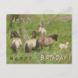 Beautiful Wild Horses Cust. Birthday Postcard