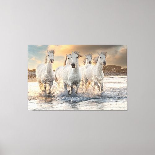 Beautiful Wild White Horses Canvas Print