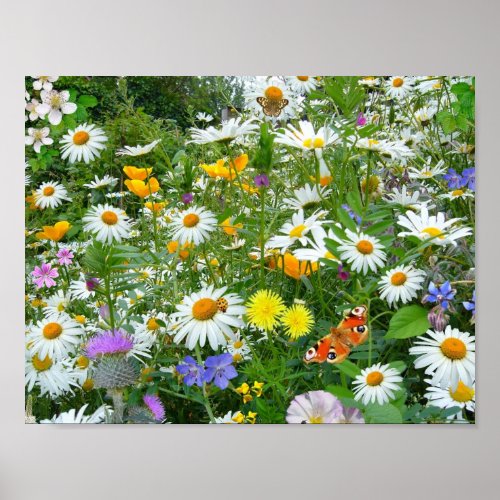 Beautiful Wildflower and Butterfly Meadow Poster