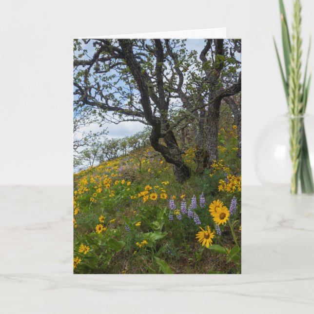 Beautiful Wildflowers on a Hill Photo Card (Front)