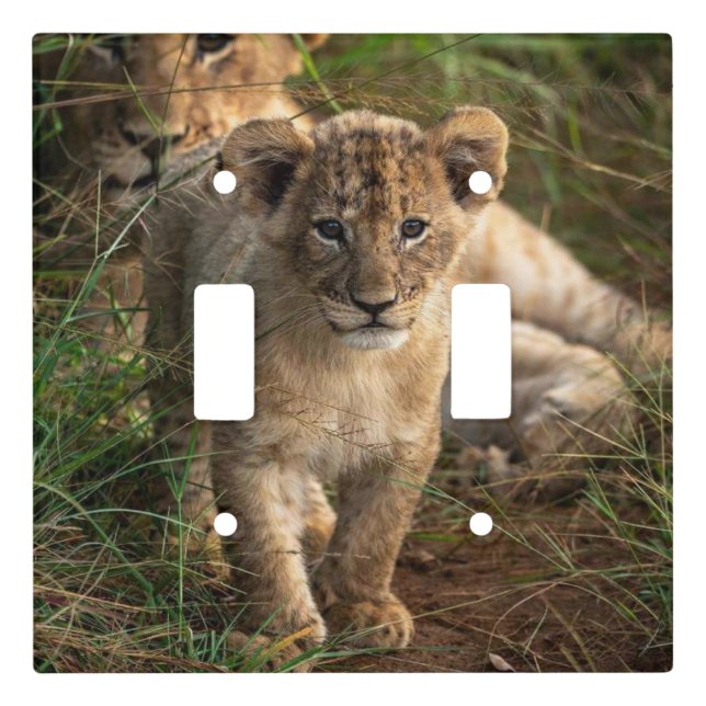 Beautiful Wildlife Double Switch Plate (Front)