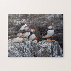 Beautiful Wildlife ocean puffin birds Jigsaw Puzzle