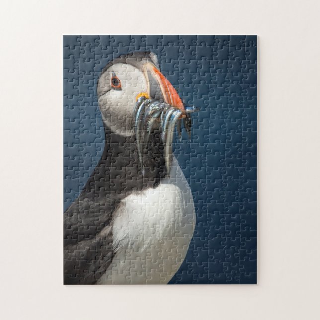Beautiful wildlife ocean puffin birds portrait jigsaw puzzle (Vertical)