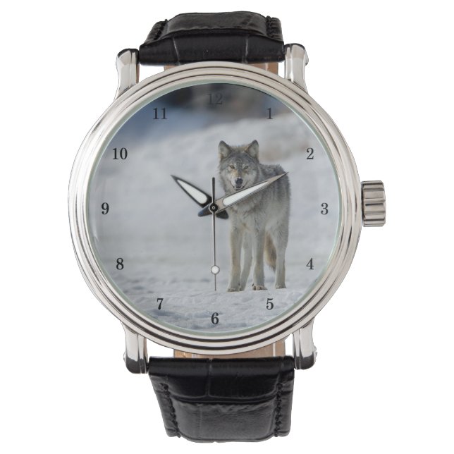 Beautiful Wildlife Wrist Watch (Front)