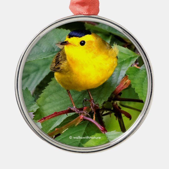 Beautiful Wilson's Warbler in the Cherry Tree Metal Ornament (Front)