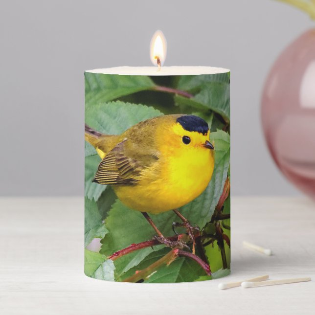 Beautiful Wilson's Warbler in the Cherry Tree Pillar Candle (In Situ)
