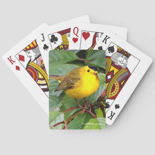 Beautiful Wilson's Warbler in the Cherry Tree Poker Cards (Back)