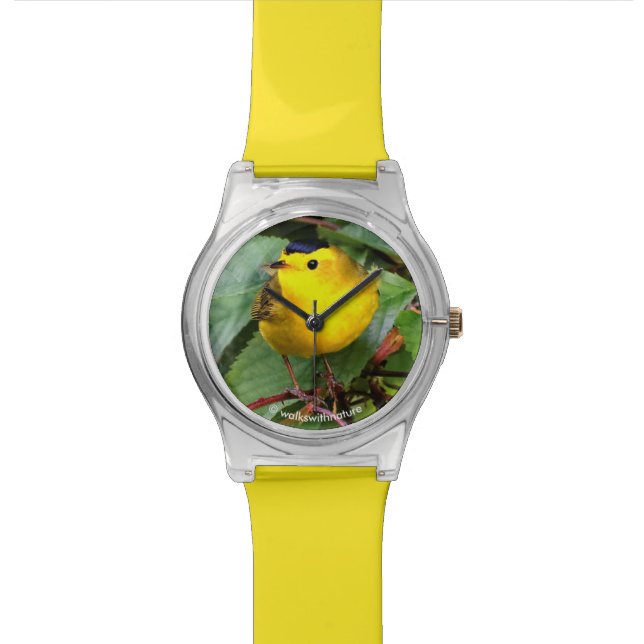 Beautiful Wilson's Warbler in the Cherry Tree Wristwatch (Close Up)