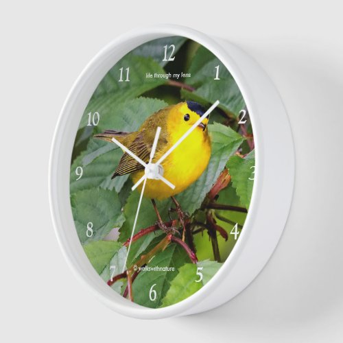 Beautiful Wilsons Warbler Songbird in Cherry Tree Clock