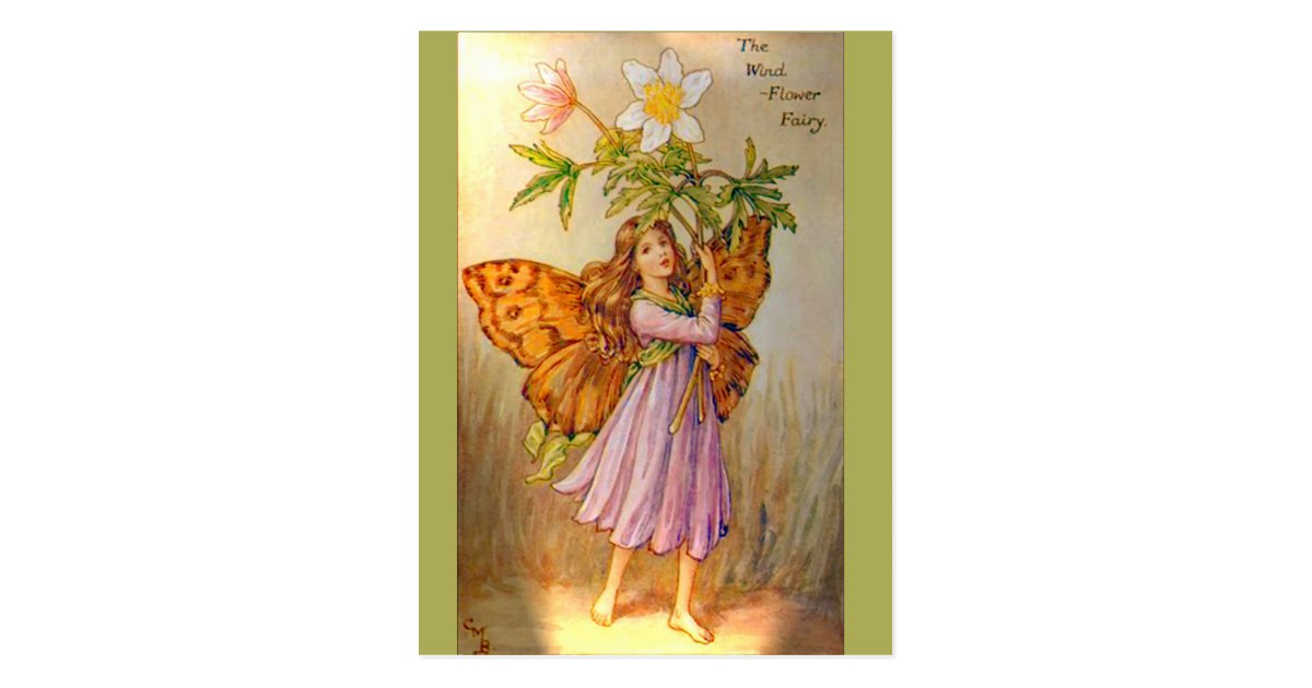 Beautiful Wind Flower Fairy Postcard  Zazzle.com