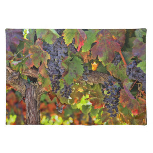 Beautiful Wine Country Place mat Table Settings