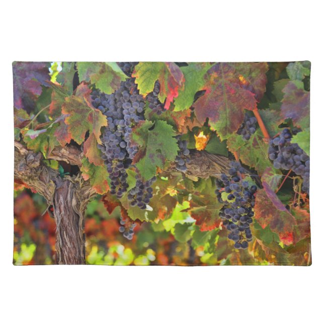 Beautiful Wine Country Place mat Table Settings (Front)