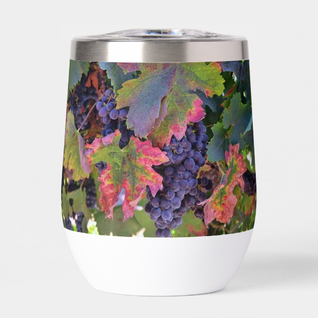Beautiful Wine Glass with Grapes Thermal Wine Tumbler (Front)