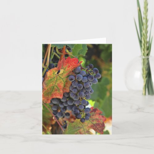 Beautiful Wine Grape Vineyard Blank Note Cards