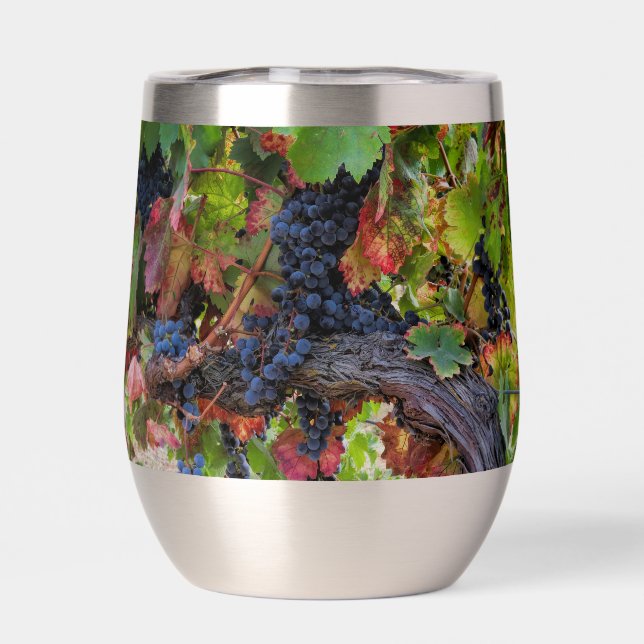 Beautiful Wine Grapes and Vine Thermal Wine Tumbler (Back)
