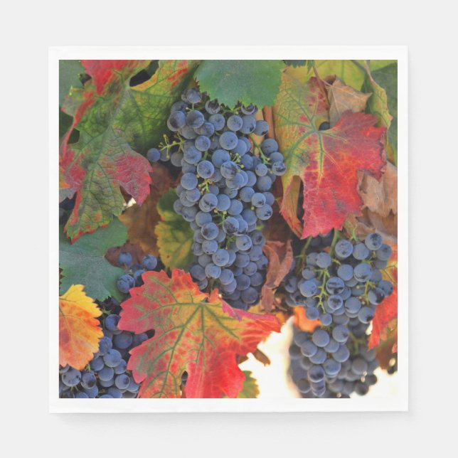 Beautiful Wine Themed Fall Vineyard Napkins (Front)