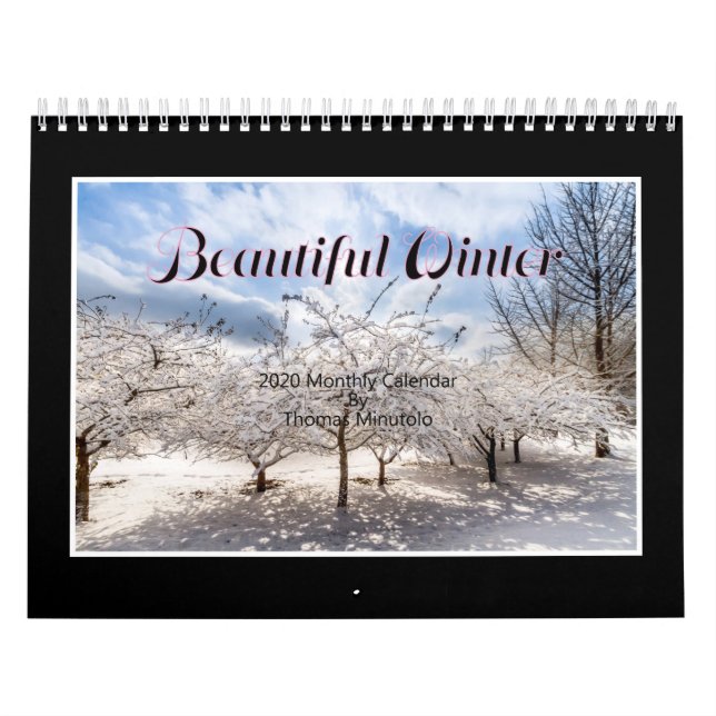 Beautiful Winter 2020 Calendar By Tom Minutolo (Cover)