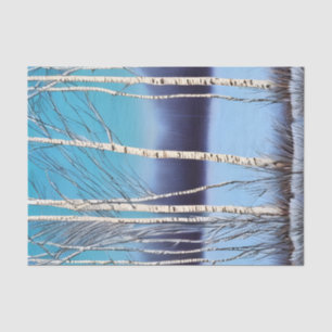Beautiful Winter Birch Tissue Paper
