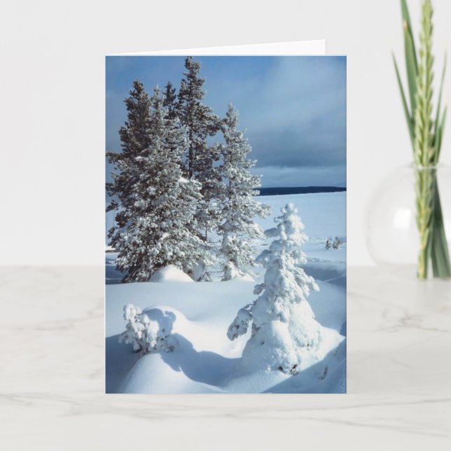 Beautiful Winter Blank Business Holiday Christmas (Front)