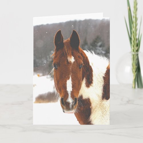Beautiful Winter Horse Greeting Card