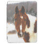 Beautiful Winter Horse iPad Air Cover