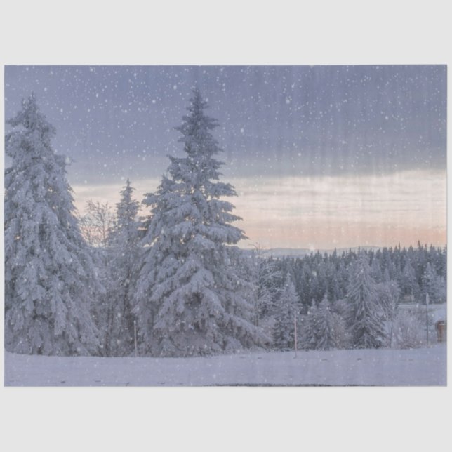 Beautiful Winter Landscape as it's Snowing  Tissue Paper (Front)
