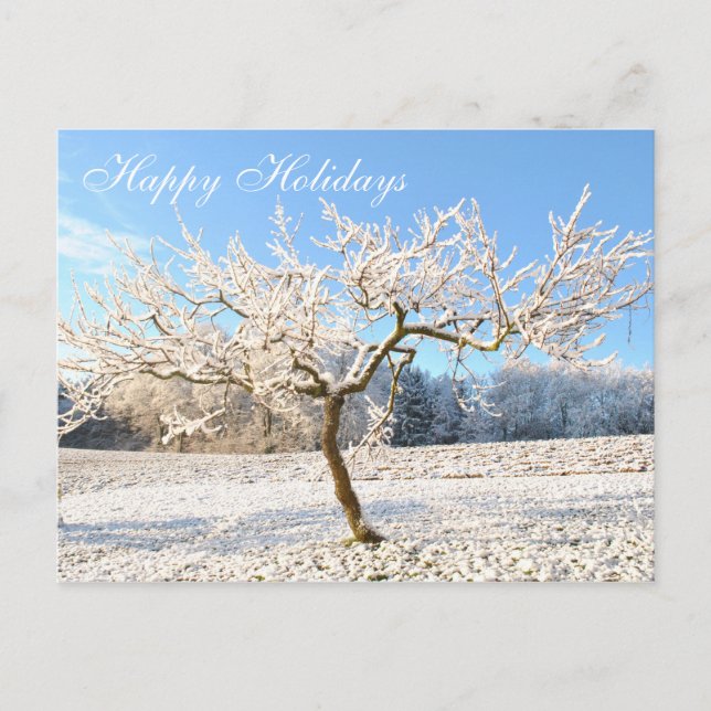 Beautiful Winter Landscape Pretty Snow Tree Postcard (Front)