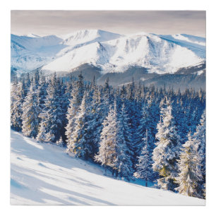 Beautiful winter landscape with snow covered trees faux canvas print