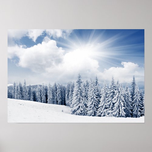 Beautiful Winter Landscape With Snow Poster