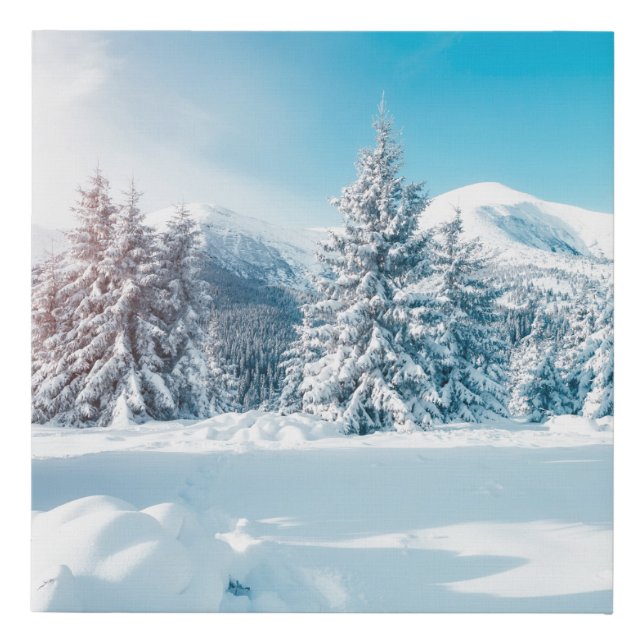 Beautiful winter nature landscape, amazing mountai faux canvas print (Front)