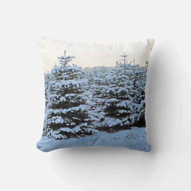 Beautiful Winter Pillow! Throw Pillow (Front)