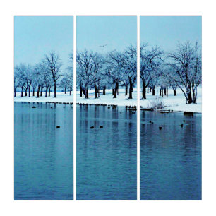 Beautiful Winter Pond Triptych Wall Art
