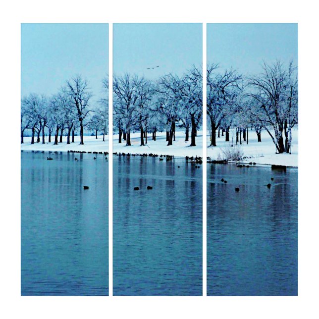 Beautiful Winter Pond Triptych Wall Art (Front)