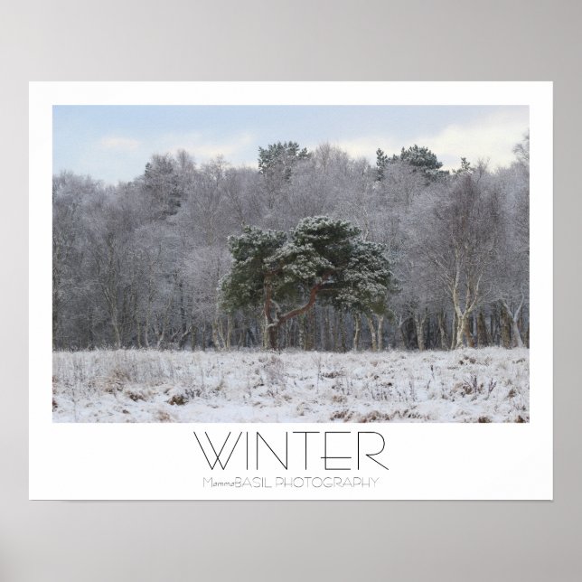 Beautiful Winter Poster! Poster (Front)
