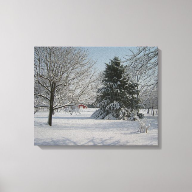 Beautiful Winter Scene Canvas Print (Front)