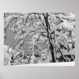 Beautiful Winter Scene Poster