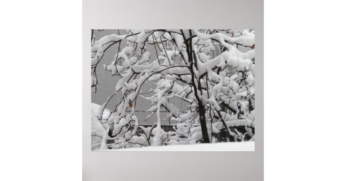 Beautiful Winter Scene Poster | Zazzle