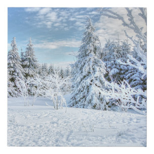 Beautiful Winter Snow Forest Scene Faux Canvas Print