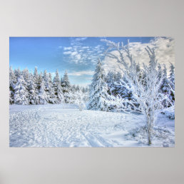 Beautiful Winter Snow Forest Scene   Poster