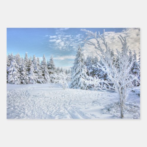 Beautiful Winter Snow Forest Scene    Wrapping Paper Sheets