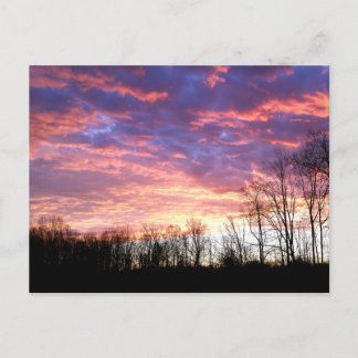 Beautiful Winter Sunrise Postcard