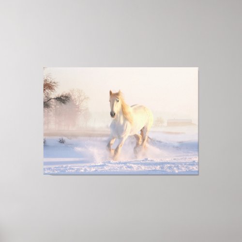 Beautiful Winter White Horse  Canvas Print