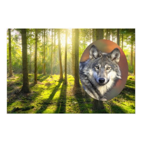 Beautiful Wolf And Sunrise Forest Photo Print