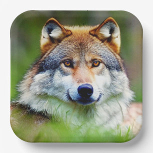 Beautiful Wolf head Painting Paper Plates