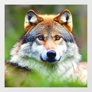 Beautiful Wolf head Painting Wall Decal